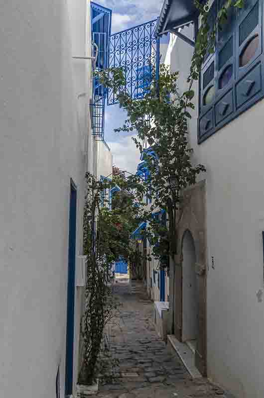 49 - Tunez - Sidi Bou Said